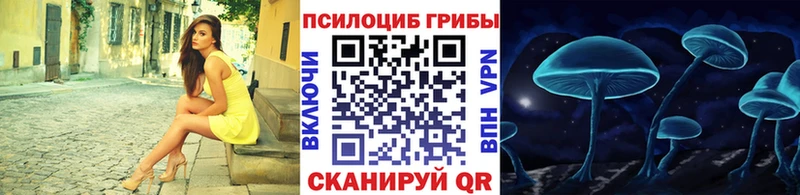 наркошоп  Волхов  Псилоцибиновые грибы Psilocybe 