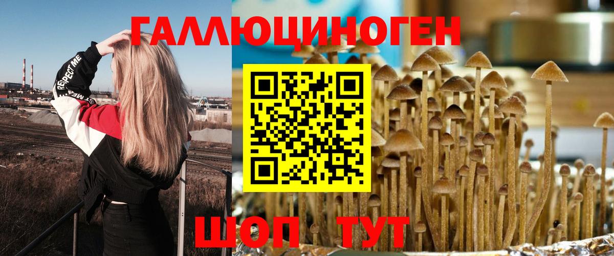 Галлюциногенные грибы MAGIC MUSHROOMS Волхов