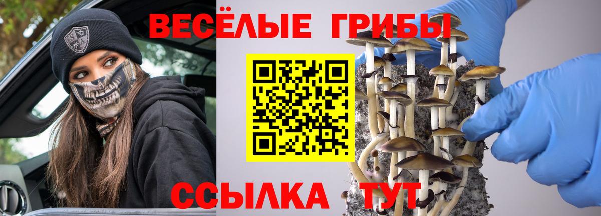 Галлюциногенные грибы MAGIC MUSHROOMS  цены   Вход с VPN  Волхов  Псилоцибиновые грибы Cubensis 