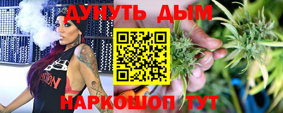 Волхов  Бошки Шишки индика  Конопля планчик  Вход с VPN 